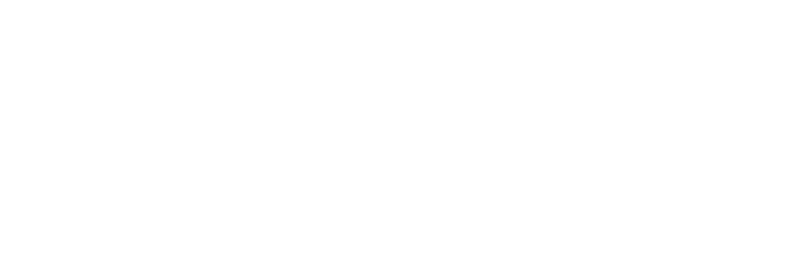 ELITE MOTORS copy-03 copy